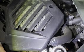 HONDA TACT Basket AF79