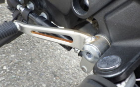 KAWASAKI NINJA 1000SX 2024 ZXT02K