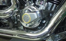 HARLEY FLSTFI1920 2025