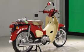 HONDA C110 SUPER CUB