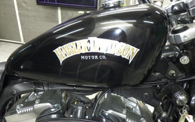 HARLEY L1200LI 2010