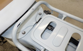 HONDA LITTLE CUB 2020 AA01