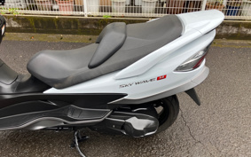 SUZUKI SKYWAVE 250M CJ45A