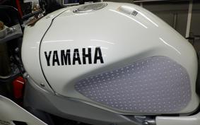 YAMAHA XSR900 GP 2024 RN96J