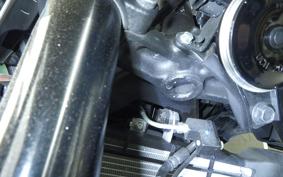 YAMAHA MT-25 A