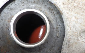 OTHER +RABBIT125 S301