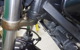 HONDA HORNET 250 2026 MC31