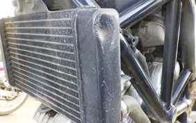 HONDA VTR 250 MC33