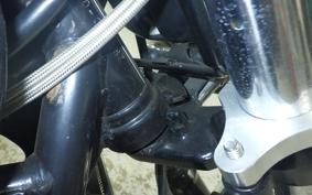 KAWASAKI ZEPHYR 750 2020 ZR750C
