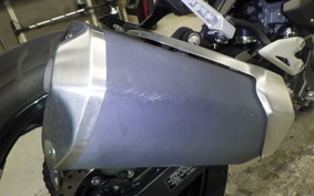 KAWASAKI Z250 Gen.2 2025 EX250Y