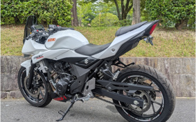 SUZUKI GSX250R DN11A