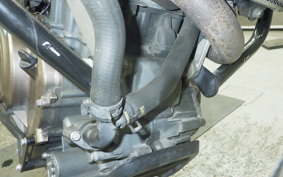 HUSQVARNA SVARTPILEN 401 2019