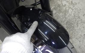 HARLEY FXLRS1870 2021