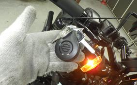 HARLEY FXLRS1920 2024