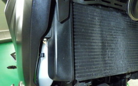 KAWASAKI Z250 A 2021 ER250C