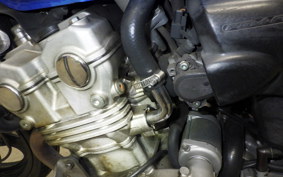 HONDA CB400SF VTEC K 2025 NC42