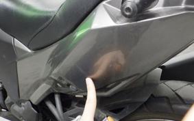 KAWASAKI VERSYS 250 X LE250D