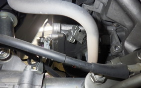 HONDA GYRO X 2024 TD02