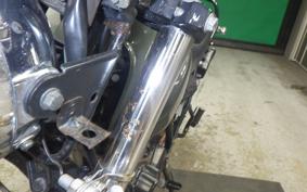 YAMAHA TW225 DG09J