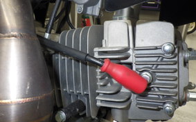 OTHER +UNREGISTERED MODEL by BDS125 2026