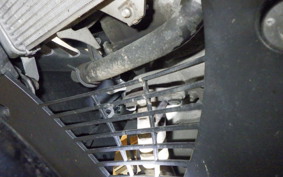 YAMAHA YZF-R15A 1998 RG86J