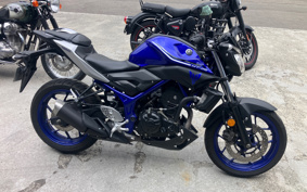 YAMAHA MT-25 RG10J
