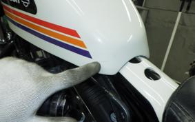 HARLEY XL1200XS 2019