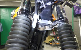KAWASAKI W800 2017 EJ800A