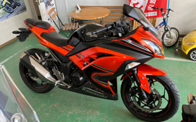 KAWASAKI NINJA 250 EX250L