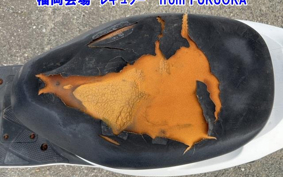 SUZUKI ADDRESS V50