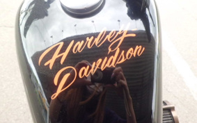 HARLEY XL883R 2008 CS2