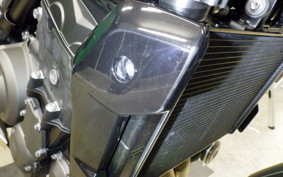 TRIUMPH TRIDENT 660 2025