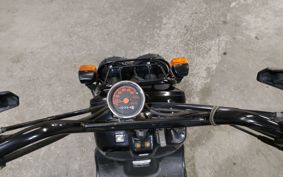 HONDA ZUMAR AF58