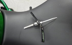 KAWASAKI NINJA 1100SX SE 2025 ZXT10H