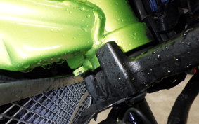 KAWASAKI Z900 Gen.2 2021 ZR900B