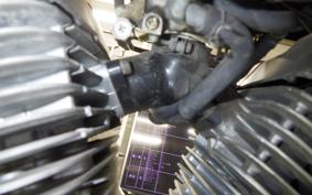 YAMAHA VIRAGO 250 3DM