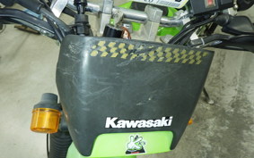 KAWASAKI SUPER SHERPA 2017 KL250G