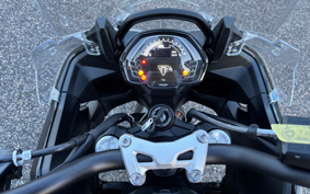 TRIUMPH TIGER 800 2026 L25P10