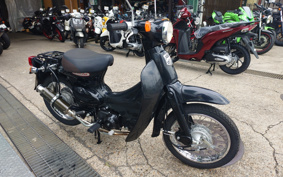 HONDA LITTLE CUB AA01
