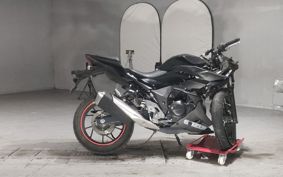 SUZUKI GSX250R DN11A