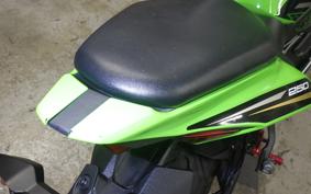 KAWASAKI ZX-25R 2006 ZX250E