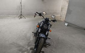 OTHER  INDIAN CHI-FU DARK  HOSE  2022 ..
