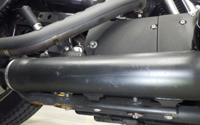 OTHER +HD. XL1200X 2014