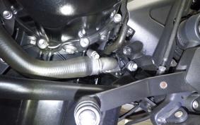 TRIUMPH TIGER 800 2014
