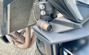 KAWASAKI Z900 2021 ZR900B