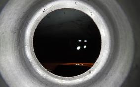 OTHER MUTT モングレル 250 2002