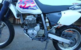 HONDA XR250 MD30