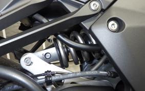 KAWASAKI NINJA 1000 SX 2025 ZXT02K