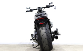 HARLEY FXBRS 2021 YHK