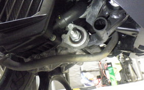 HONDA TACT Basket 2024 AF79
